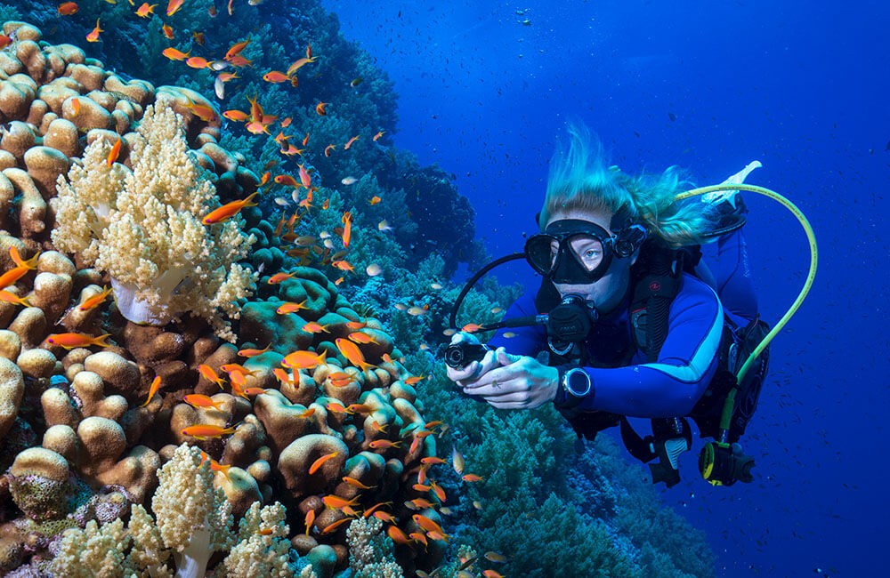 TD® Mini caméra de sport sous-marine sports de plein air plongée à